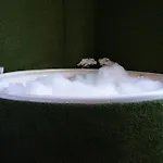 Jacuzzi Gasthuis